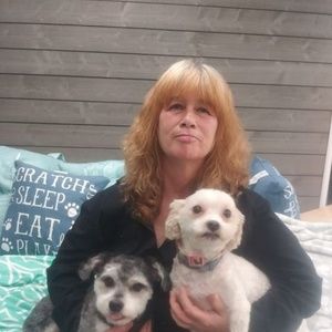 Meet your Posher, Debbie